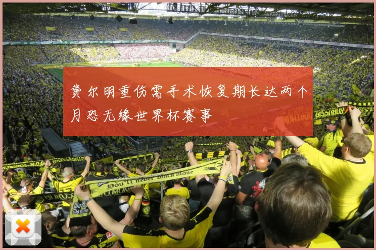 费尔明重伤需手术恢复期长达两个月恐无缘世界杯赛事